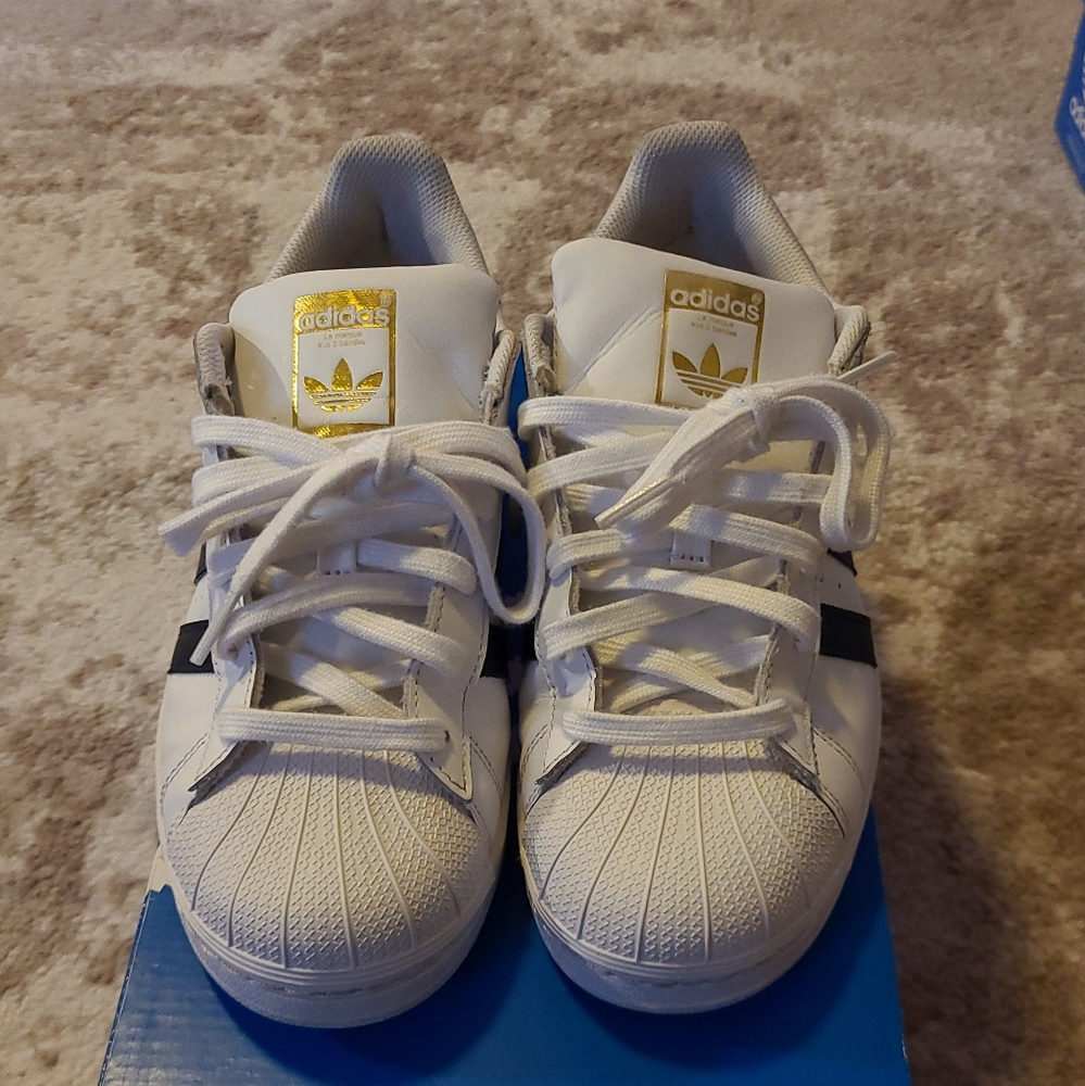 Adidas superstar shell toe